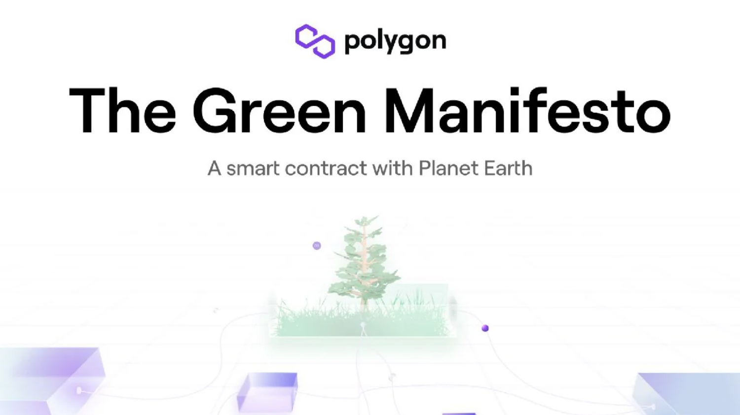 Polygon Commits $20 Million to Go Carbon Neutral in 2022